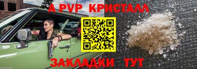 хмурый Тула