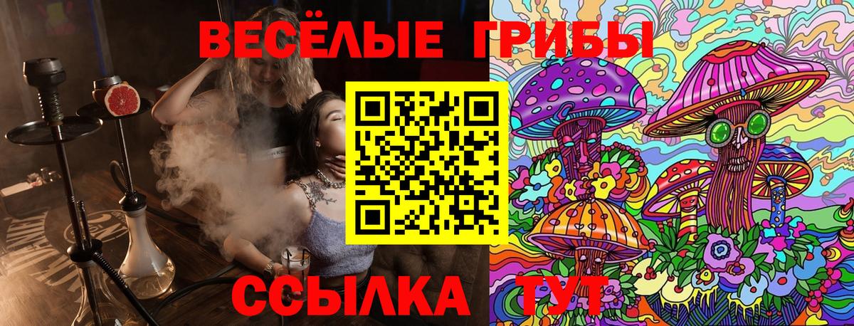 Галлюциногенные грибы Psilocybine cubensis  Вход с VPN  купить  сайты  Мценск 