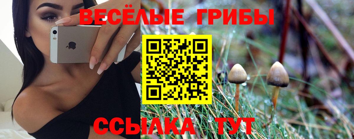 Псилоцибиновые грибы Psilocybine cubensis Мценск